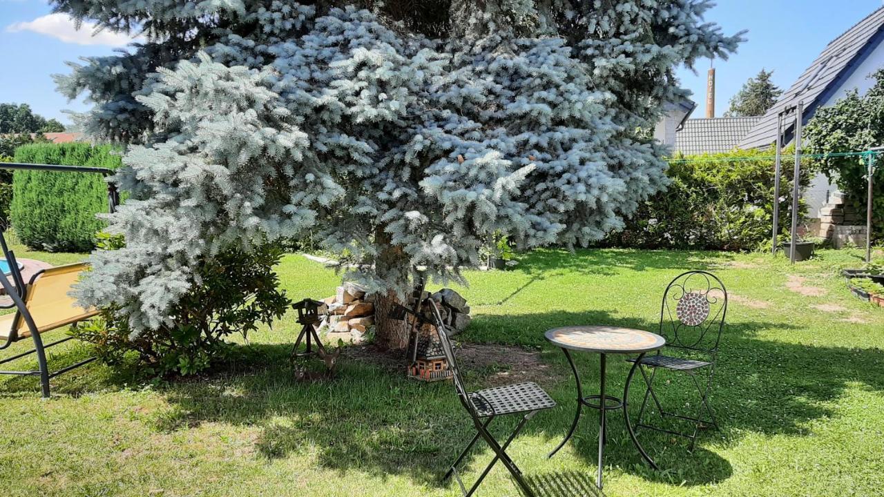 Ferienwohnung Koenig Niedergurig Bei Bautzen Malschwitz Buitenkant foto